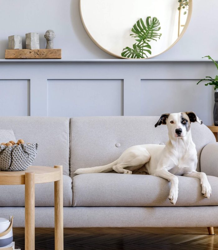 interior design of living room 1